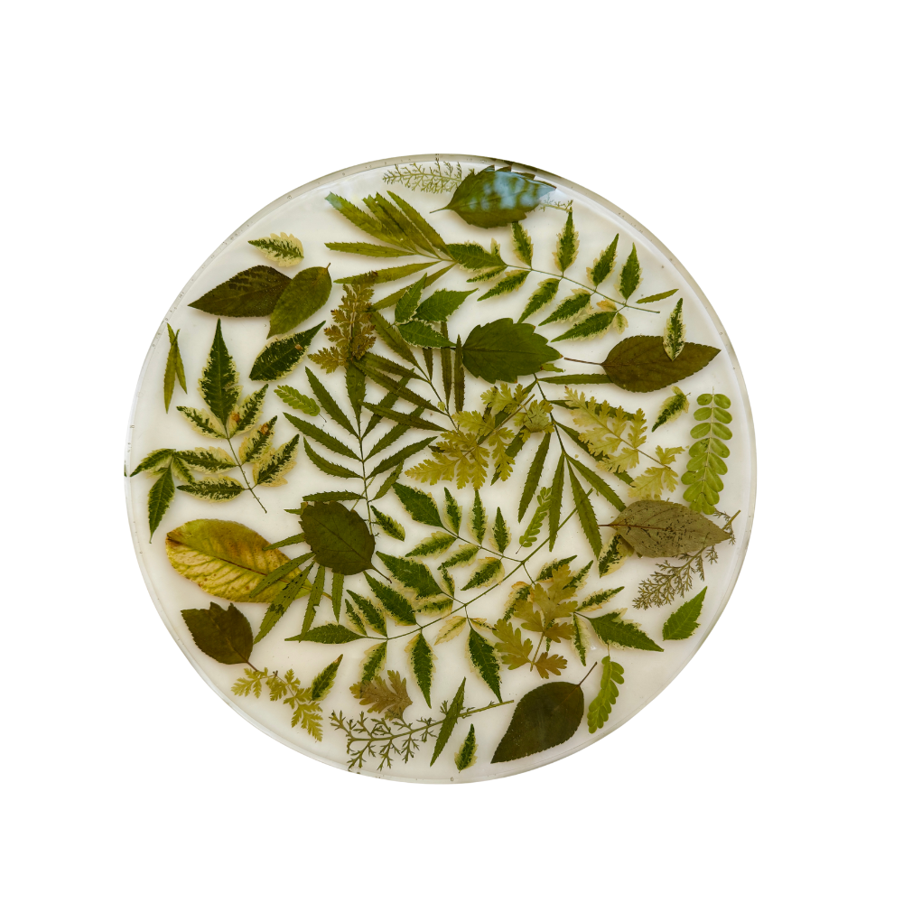 Verdant Light Serving Platter