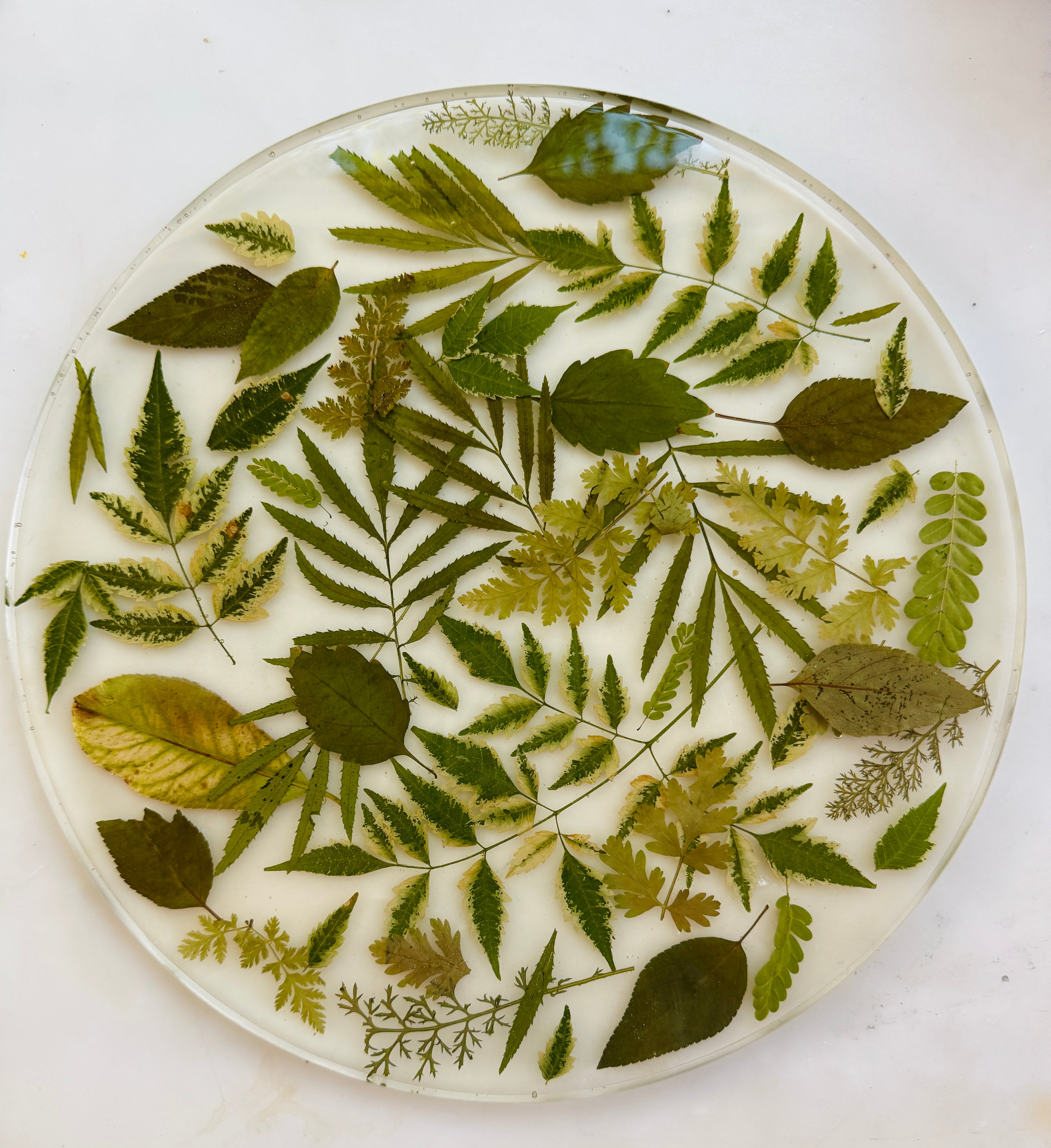 Verdant Light Serving Platter