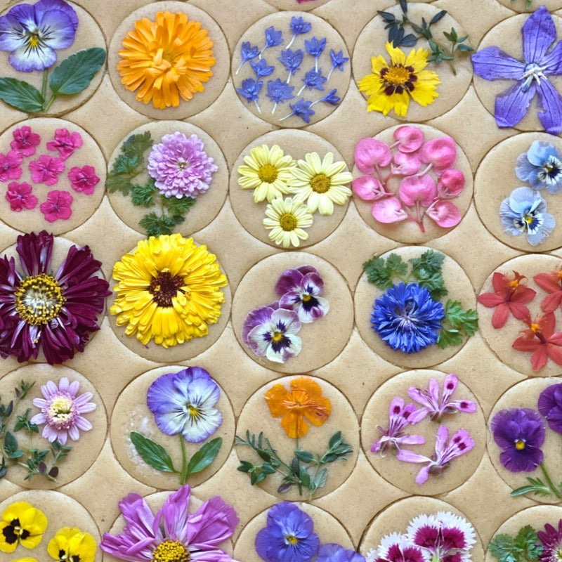 Vegan & Gluten Free Vanilla Flower Pressed™ Shortbread Cookies (1 Doze