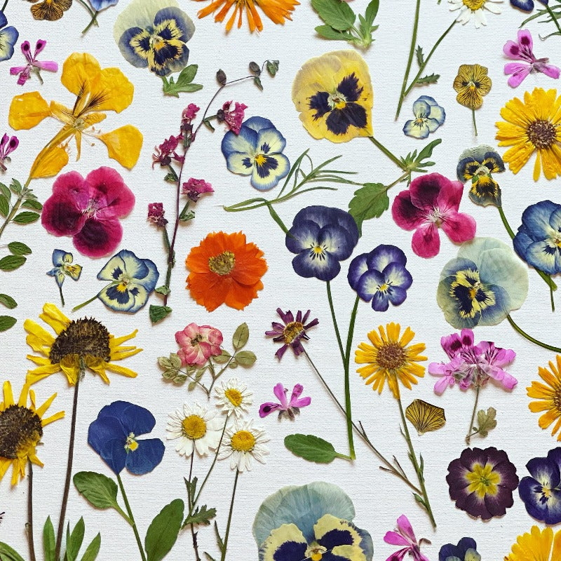 Edible Pressed Flowers