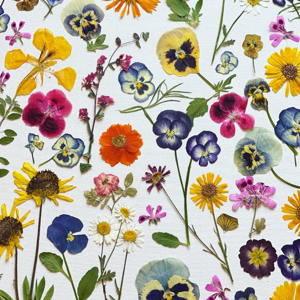 Edible Pressed Flowers