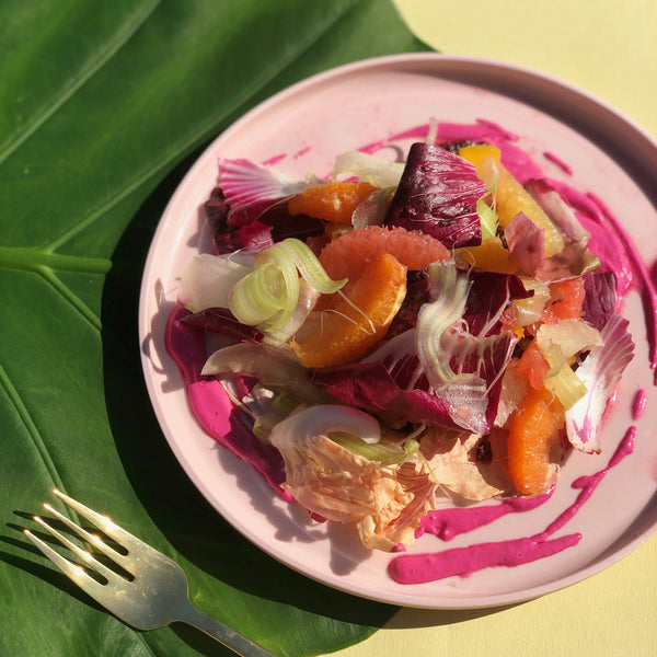 Citri Cookbook Zine