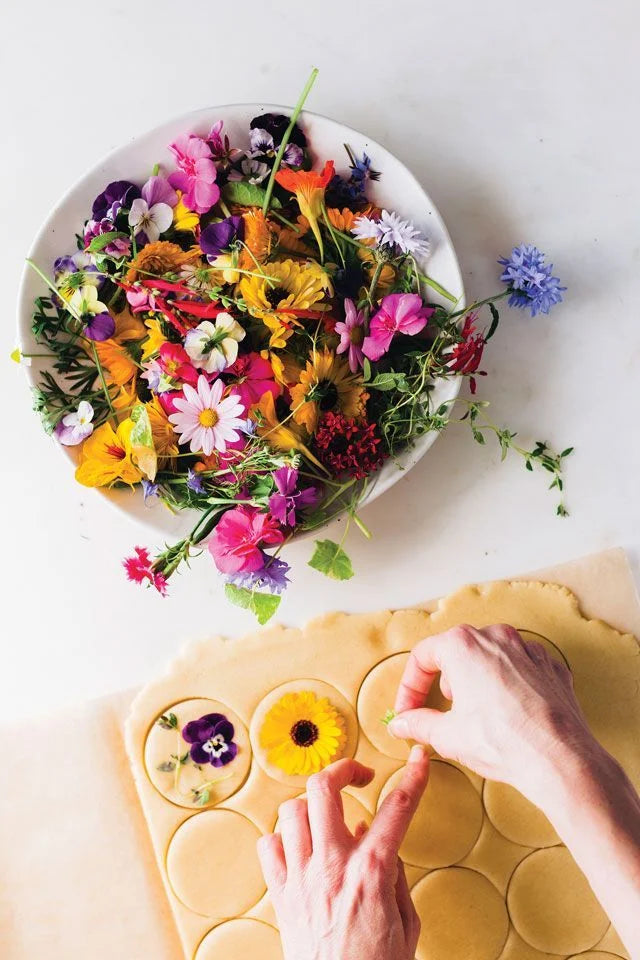 A Field of Possibility: The “Edible” Label