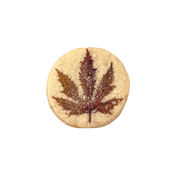 Maple Fall Cookies
