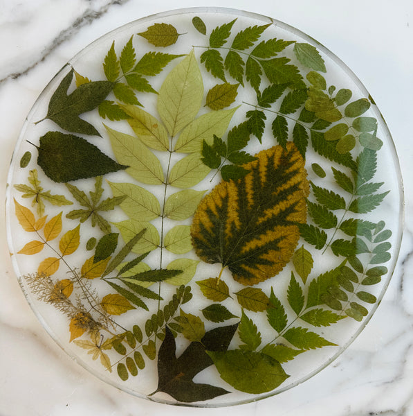 Verdant Field Platter