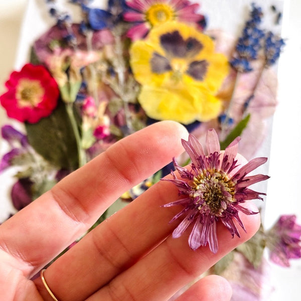 Edible Pressed Flowers for Decoration