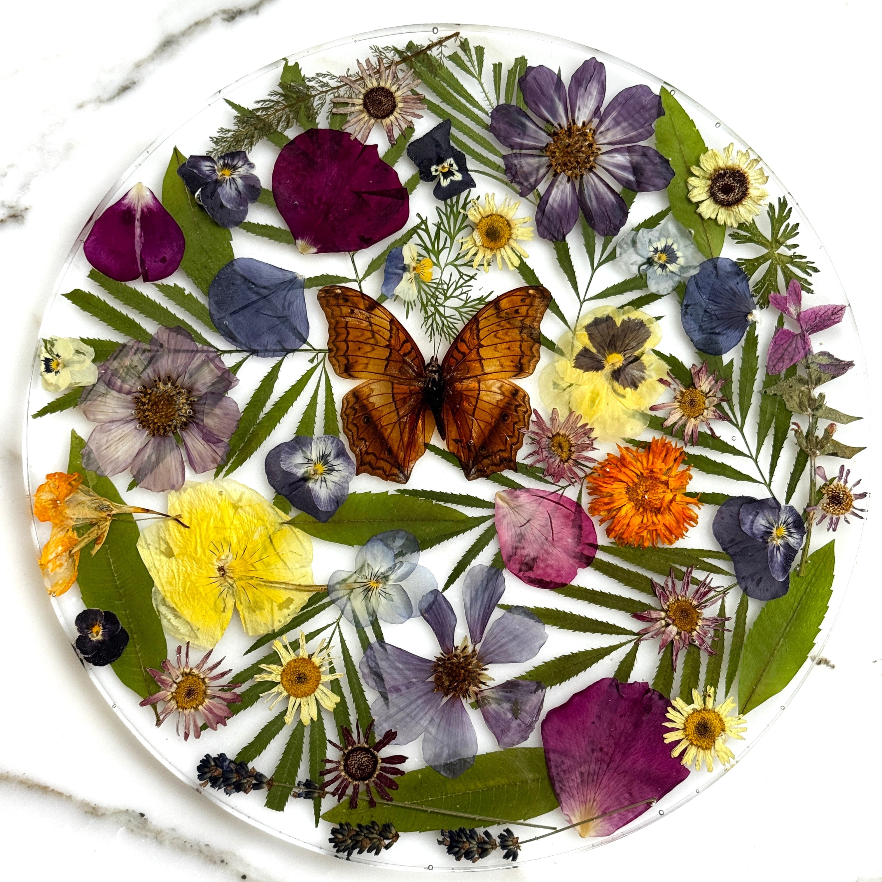 Decorative plate with pressed flowers and a butterfly on a marble surface