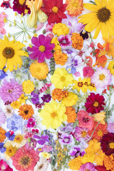 Loria's Edible Flower Guide (Downloadable PDF)