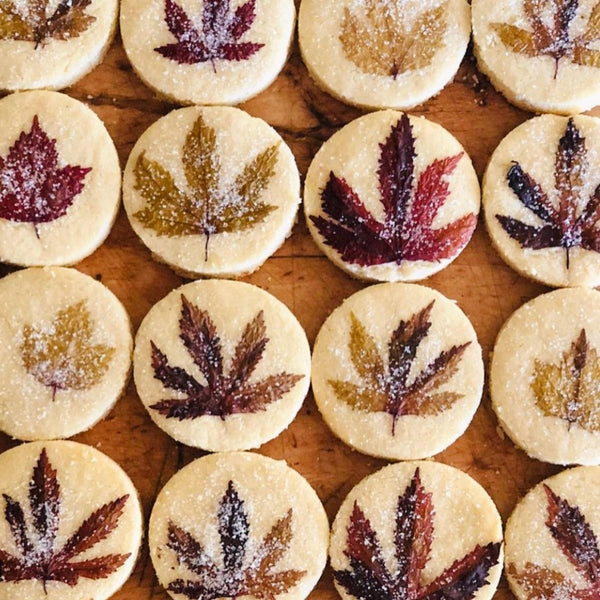Maple Fall Cookies