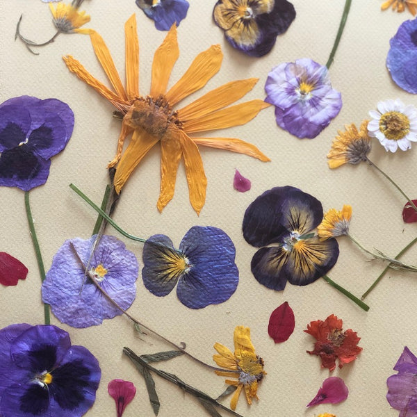 Loria's Edible Flower Guide (Downloadable PDF)