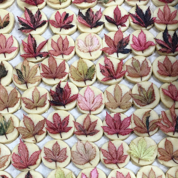 Maple Fall Cookies
