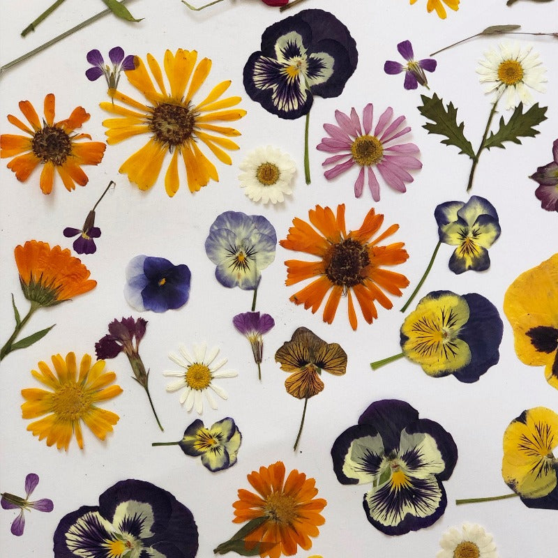 Online Cooking Class- Edible Pressed Flowers